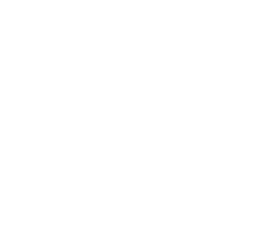 Vettri